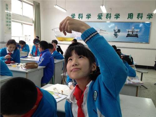 实验组成