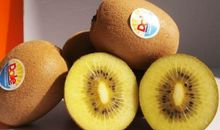 我最喜欢的猕猴桃