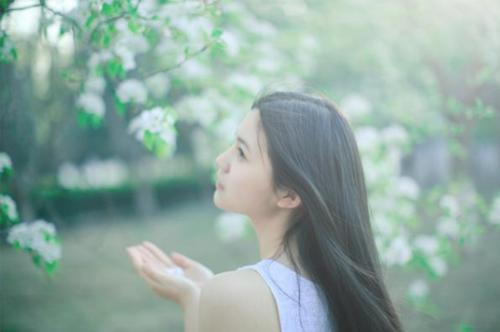 格里兹
