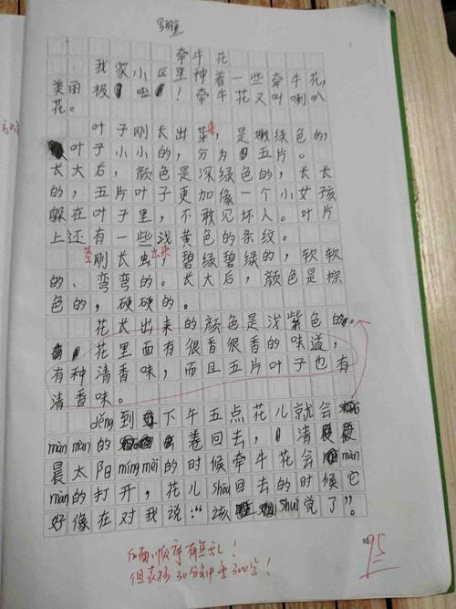 难忘的劳动技能课组成