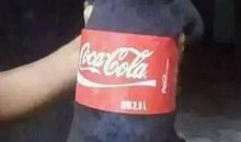 我的小狗叫可乐