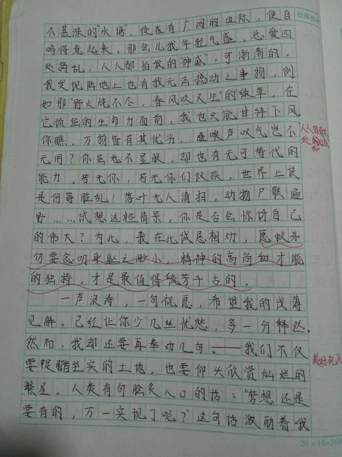 给蚂蚁的信