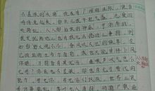 致蚂蚁的一封信