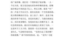 介绍一件事物的作文