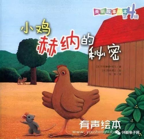 小鸡的秘密
