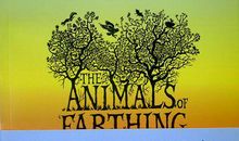 动物远征队读后感