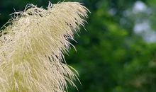 平凡，也是一种美