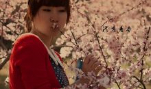 那个春天那句话