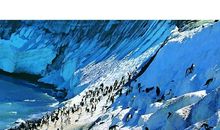 世界因生命而精彩