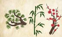 赞美松树竹子的作文