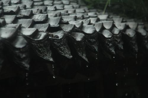 家乡鱼