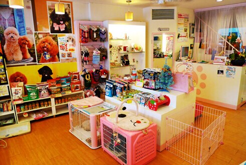 参观宠物店