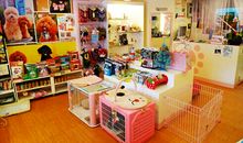 逛宠物店