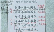 我在书里找亲属