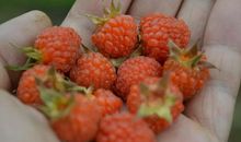 记忆深处的那条街