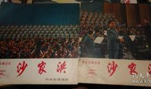 厨房交响乐作文300字