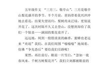 描写梨花的作文