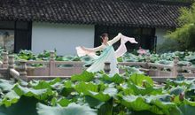 一身是宝的荷花池