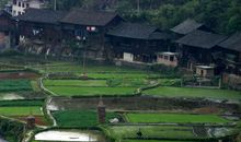 从我的窗口望出去