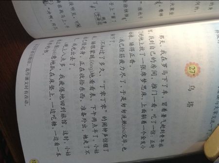 读歌后500个字