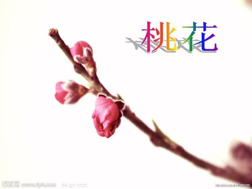 描述桃花的成分