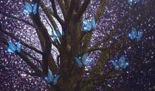 那是颗璀璨的星