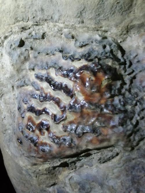 伏牛地下河旅行