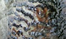 伏牛地下河游记