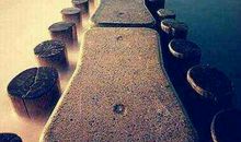 发现不一样的生活