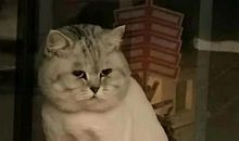 那一刻，我醉了