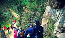 我们的乐园—岩生园