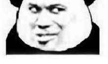 我读懂了爷爷的爱