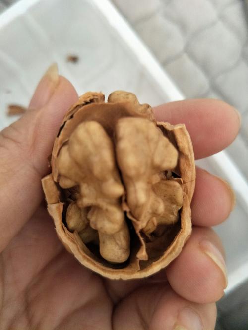 剥核桃