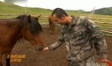 收获他给的寄托