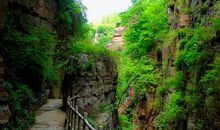 我最难忘的一座山