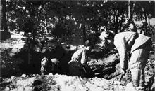 危机四伏的体育课