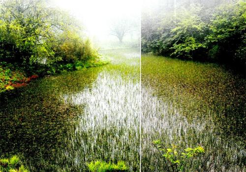 “寻宝”