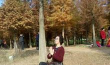 来自内心的回音