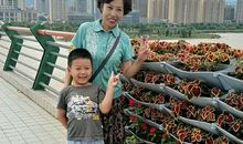 外婆带我看大桥