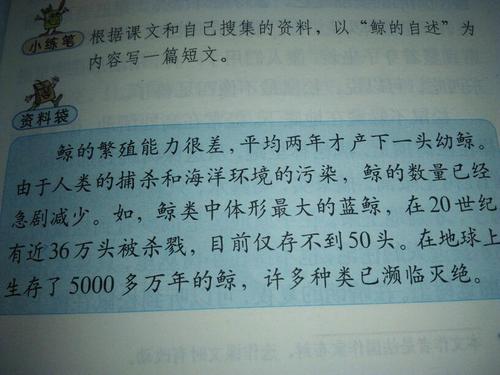 鲸鱼的叙事