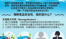 描写海鲜的作文