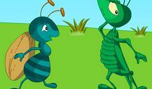 小蚂蚁和小鸽子