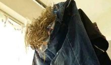 寝室阿姨二三事