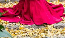 秋天的喜怒哀乐