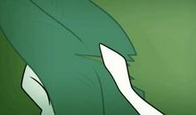 我与蜘蛛的故事