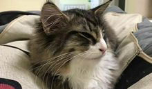 成长需要你们的目光