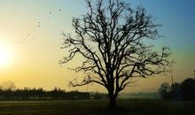 早晨的校园_650字