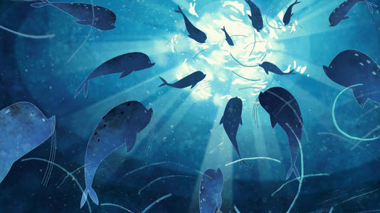 海豚之歌