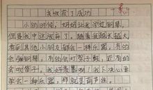 上初中我收获了什么