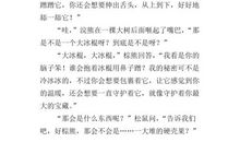 灰色的童话_1500字